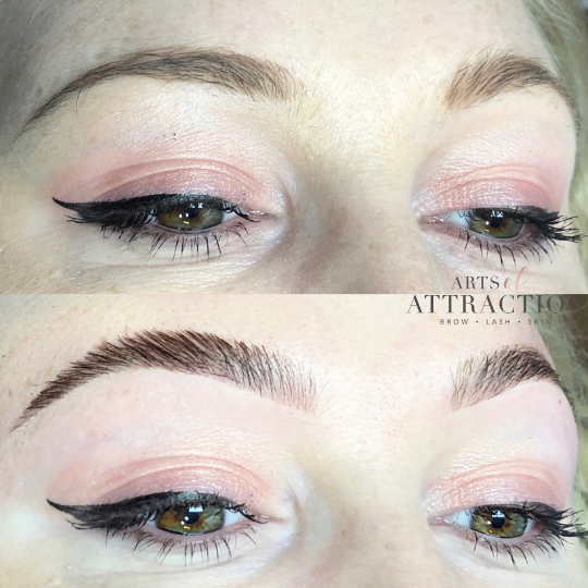 Brow Services at Arts of Attraction in St. Petersburg, FL (photo 7)