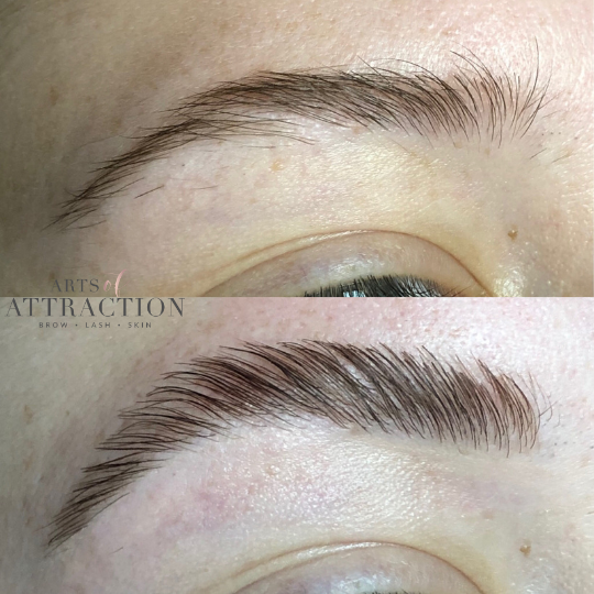 Brow Services at Arts of Attraction in St. Petersburg, FL (photo 12)