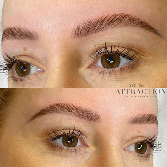 Brow Services at Arts of Attraction in St. Petersburg, FL (photo 11)
