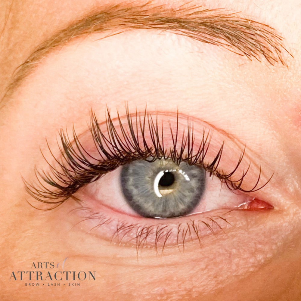 Lash Lift & Tint at Arts of Attraction in St. Petersburg, FL