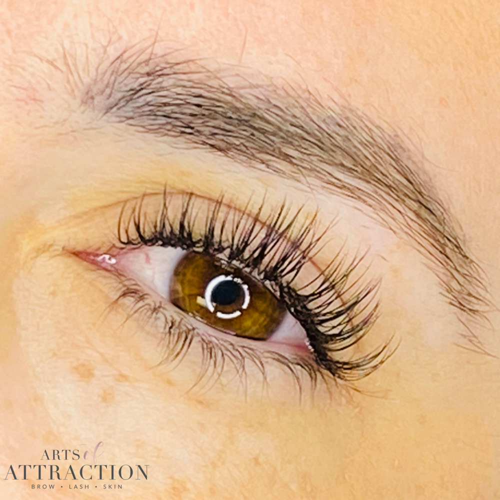 Lash Lift & Tint at Arts of Attraction in St. Petersburg, FL (photo 3)