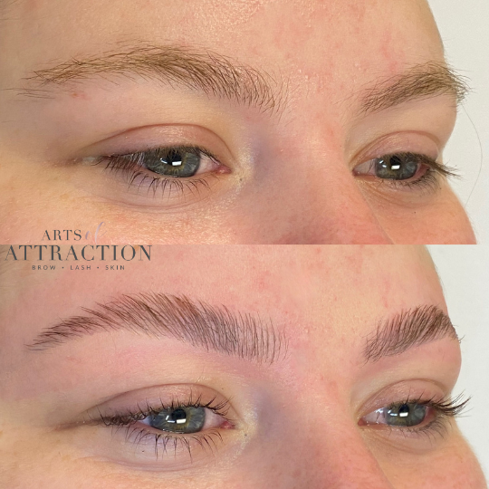 Brow Services at Arts of Attraction in St. Petersburg, FL (photo 6)