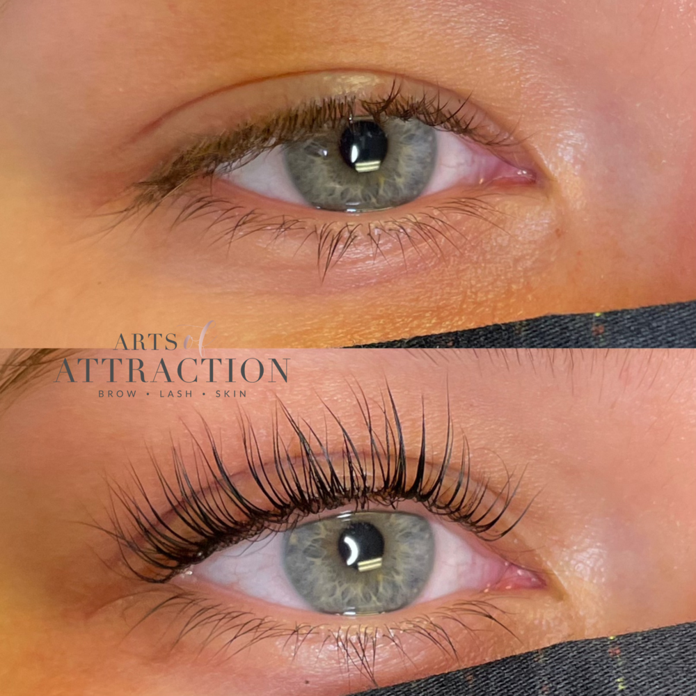 Lash Lift & Tint at Arts of Attraction in St. Petersburg, FL (photo 2)