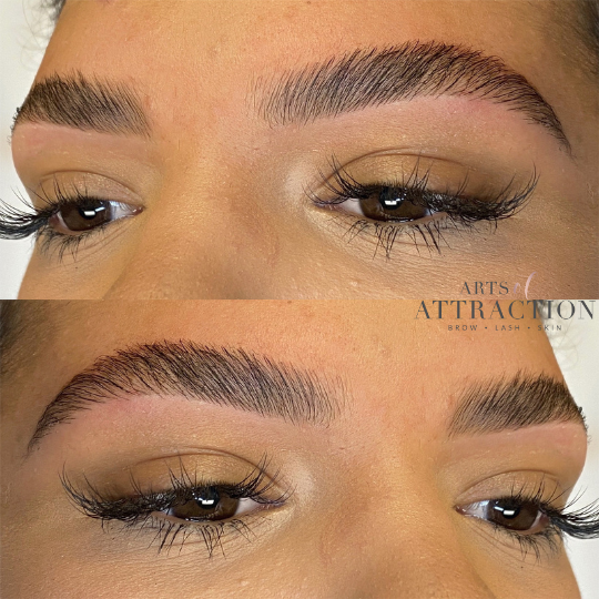 Brow Services at Arts of Attraction in St. Petersburg, FL (photo 5)