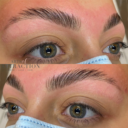 Brow Services at Arts of Attraction in St. Petersburg, FL (photo 4)