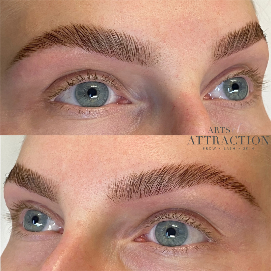Brow Services at Arts of Attraction in St. Petersburg, FL (photo 9)