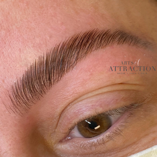 Brow Services at Arts of Attraction in St. Petersburg, FL (photo 8)