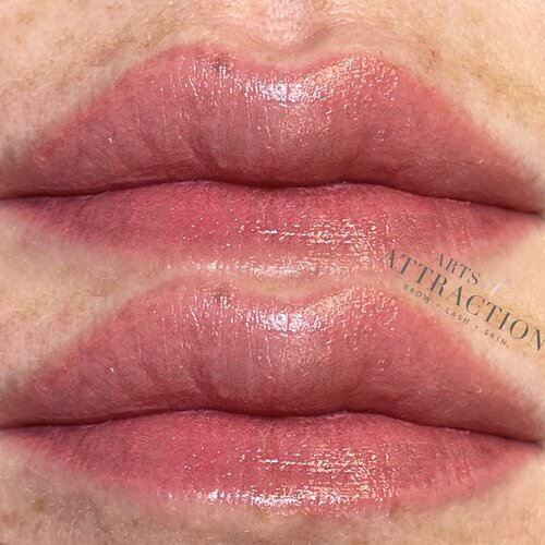 Lip Blushing & Treatments at Arts of Attraction in St. Petersburg, FL (photo 6)